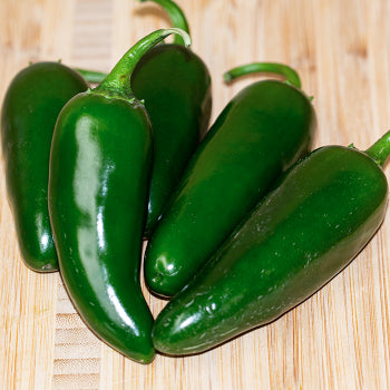 Jalapeño (Hot Pepper)
