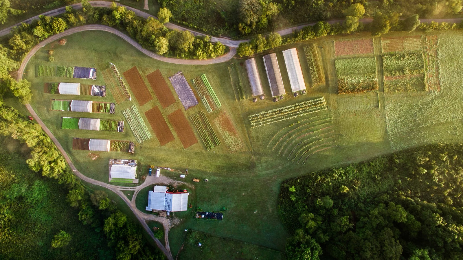 Bountiful Blessings Farm photo 2