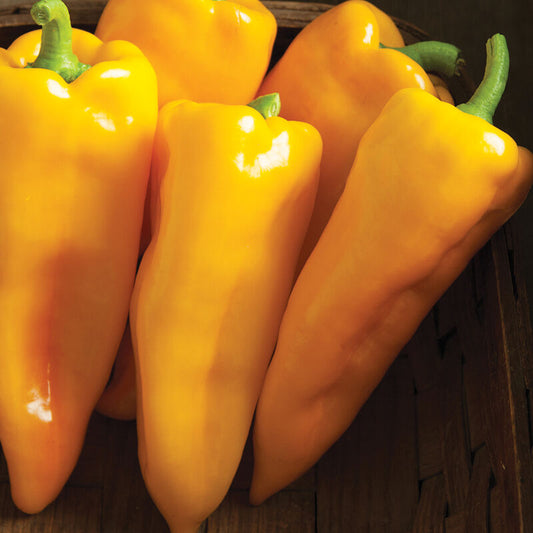 Escamillo (Italian Sweet Peppers)