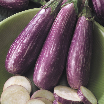 Fairy Tale (Mini Striped Eggplant)