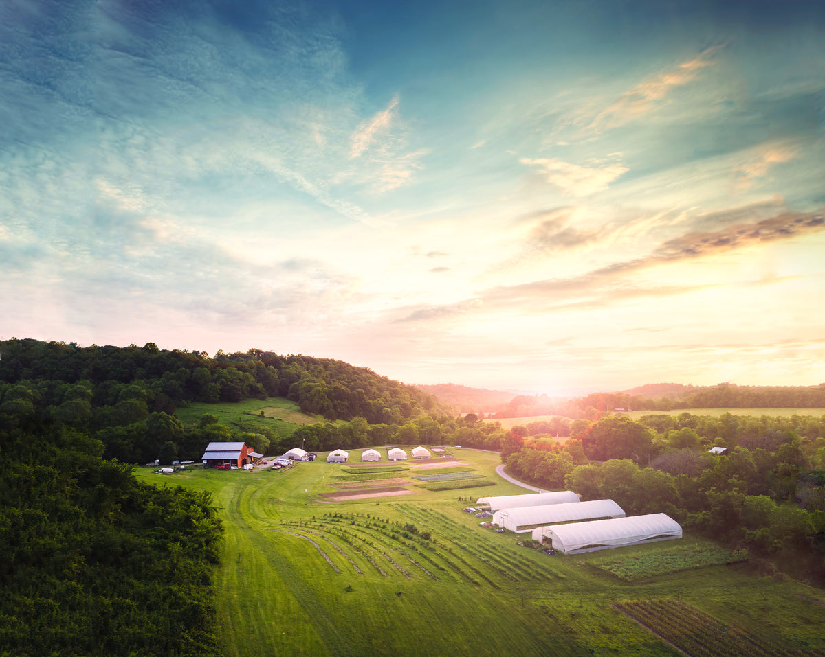 Bountiful Blessings Farm