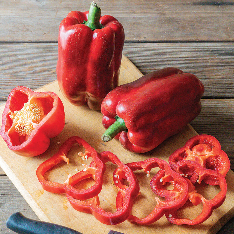 Frodo (Bell Pepper)