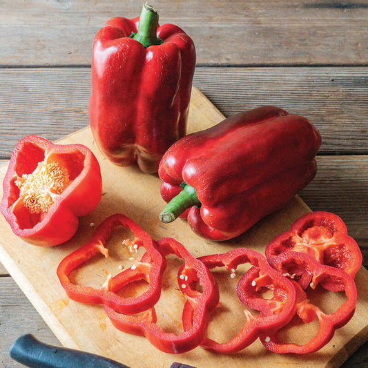 Frodo (Bell Pepper)