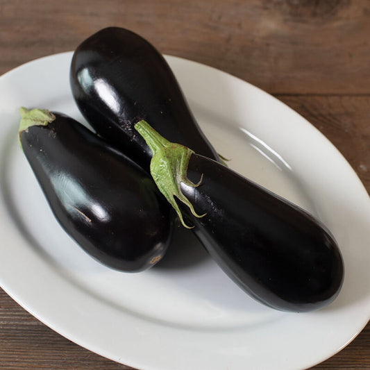 Gaudi (Eggplant)
