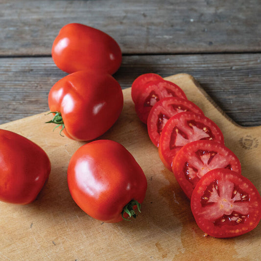 Kuzco (Paste Tomato)