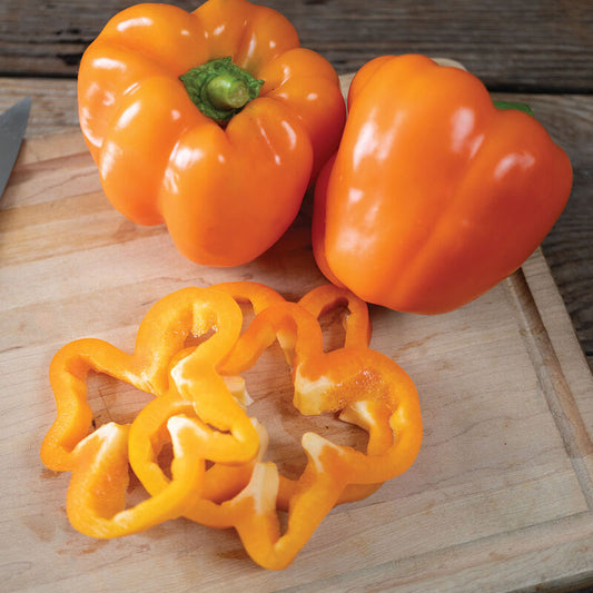 Nova (Bell Pepper)